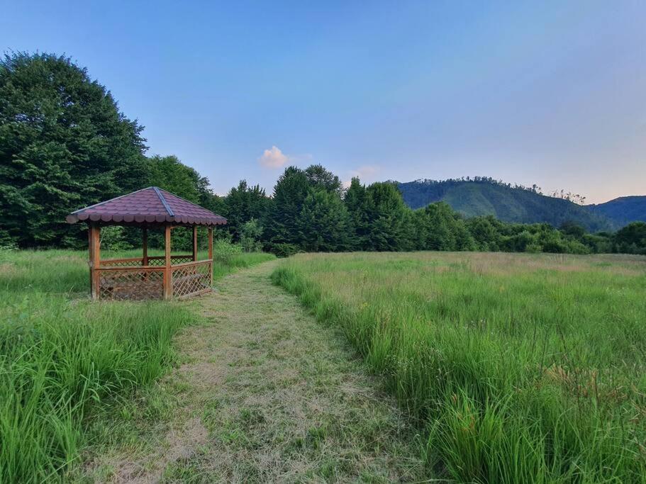 The Green House - Apuseni Mountains Pietroasa  Εξωτερικό φωτογραφία