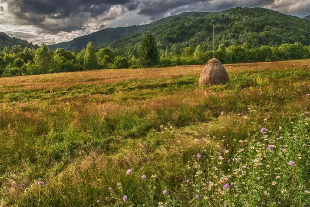 The Green House - Apuseni Mountains Pietroasa  Εξωτερικό φωτογραφία