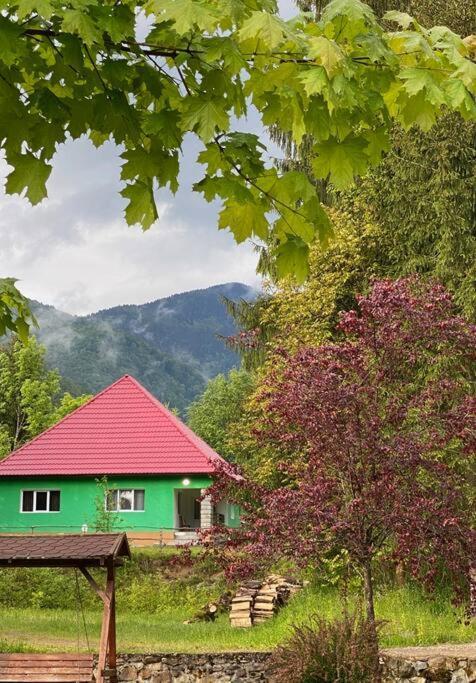 The Green House - Apuseni Mountains Pietroasa  Εξωτερικό φωτογραφία