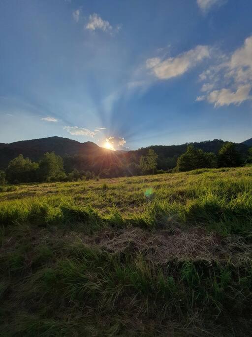 The Green House - Apuseni Mountains Pietroasa  Εξωτερικό φωτογραφία